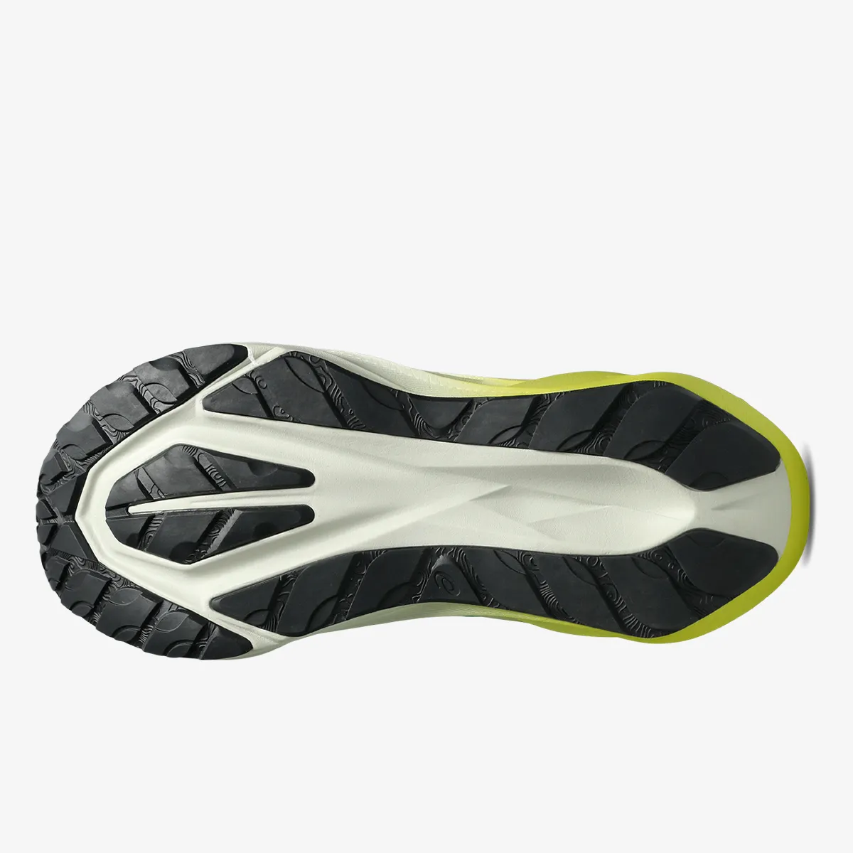 ASICS Pantofi Sport NOVABLAST 5 TR