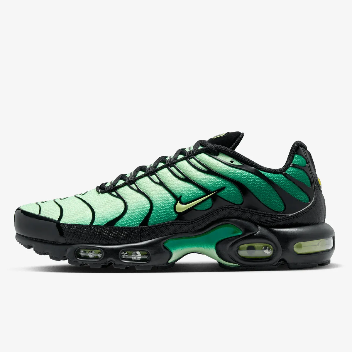 NIKE Pantofi Sport Air Max Plus 