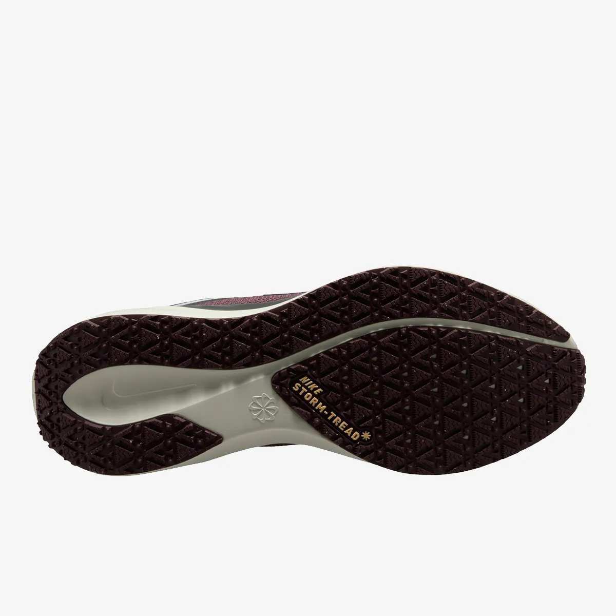 NIKE Pantofi Sport AIR ZM PEGASUS 41 GTX