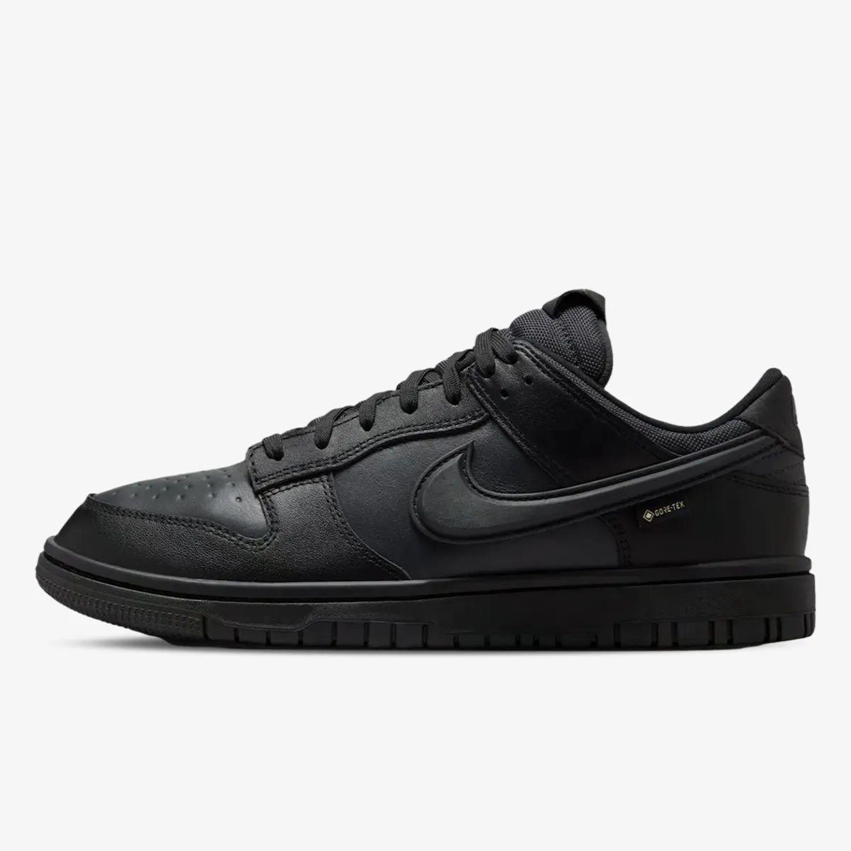 NIKE Pantofi Sport NIKE DUNK LOW GTX 