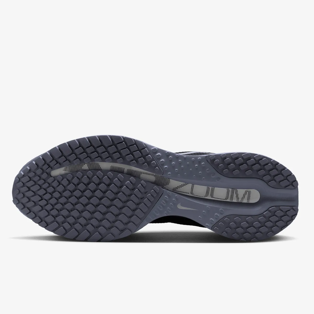 NIKE Pantofi Sport NIKE PEGASUS PREMIUM 