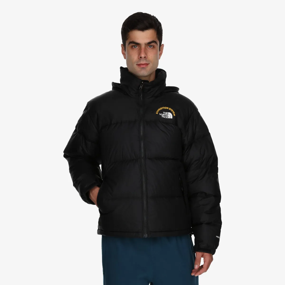 THE NORTH FACE Jacheta M 1996 RETRO NUPTSE JACKET