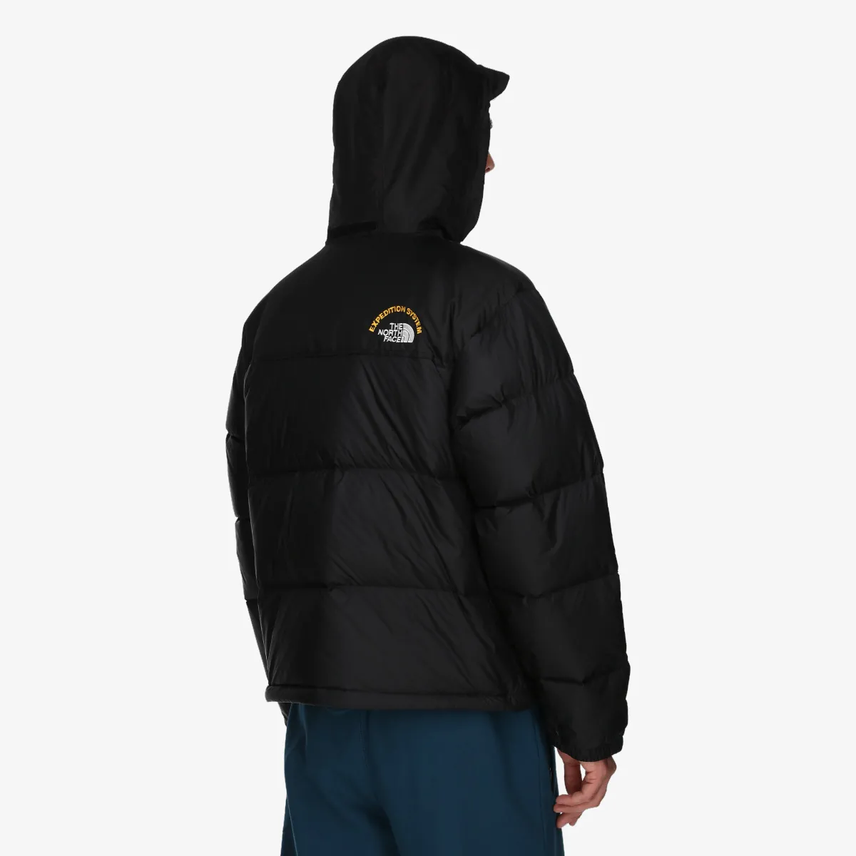 THE NORTH FACE Jacheta M 1996 RETRO NUPTSE JACKET 