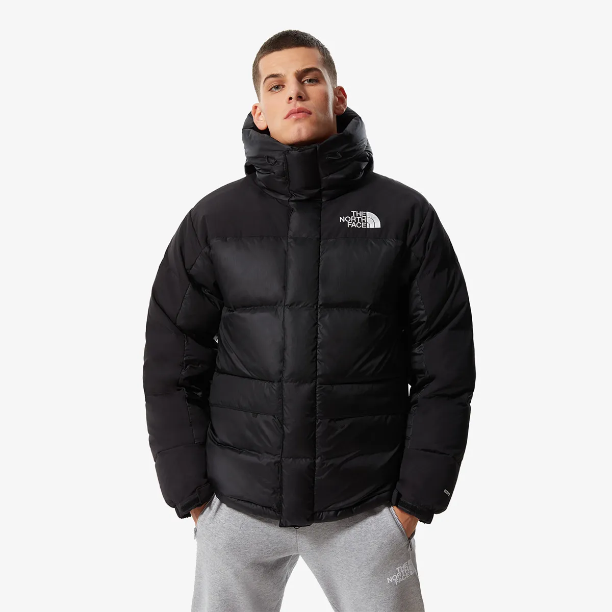 THE NORTH FACE Jacheta M HMLYN DOWN PARKA 