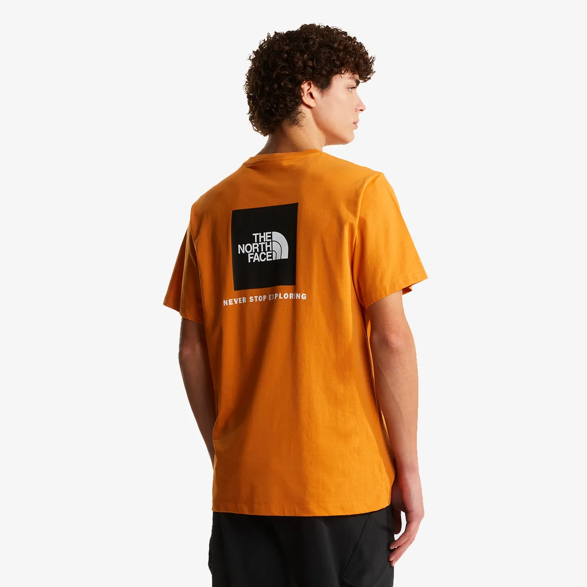 THE NORTH FACE Tricou M EVOLUTION BOX NSE REGULAR SHORT SLEEVE