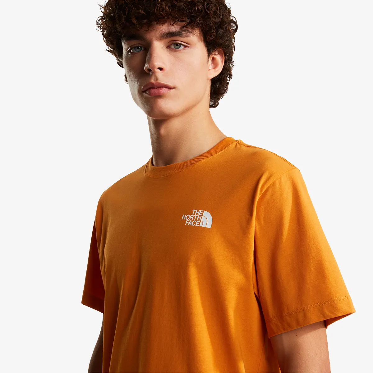 THE NORTH FACE Tricou M EVOLUTION BOX NSE REGULAR SHORT SLEEVE