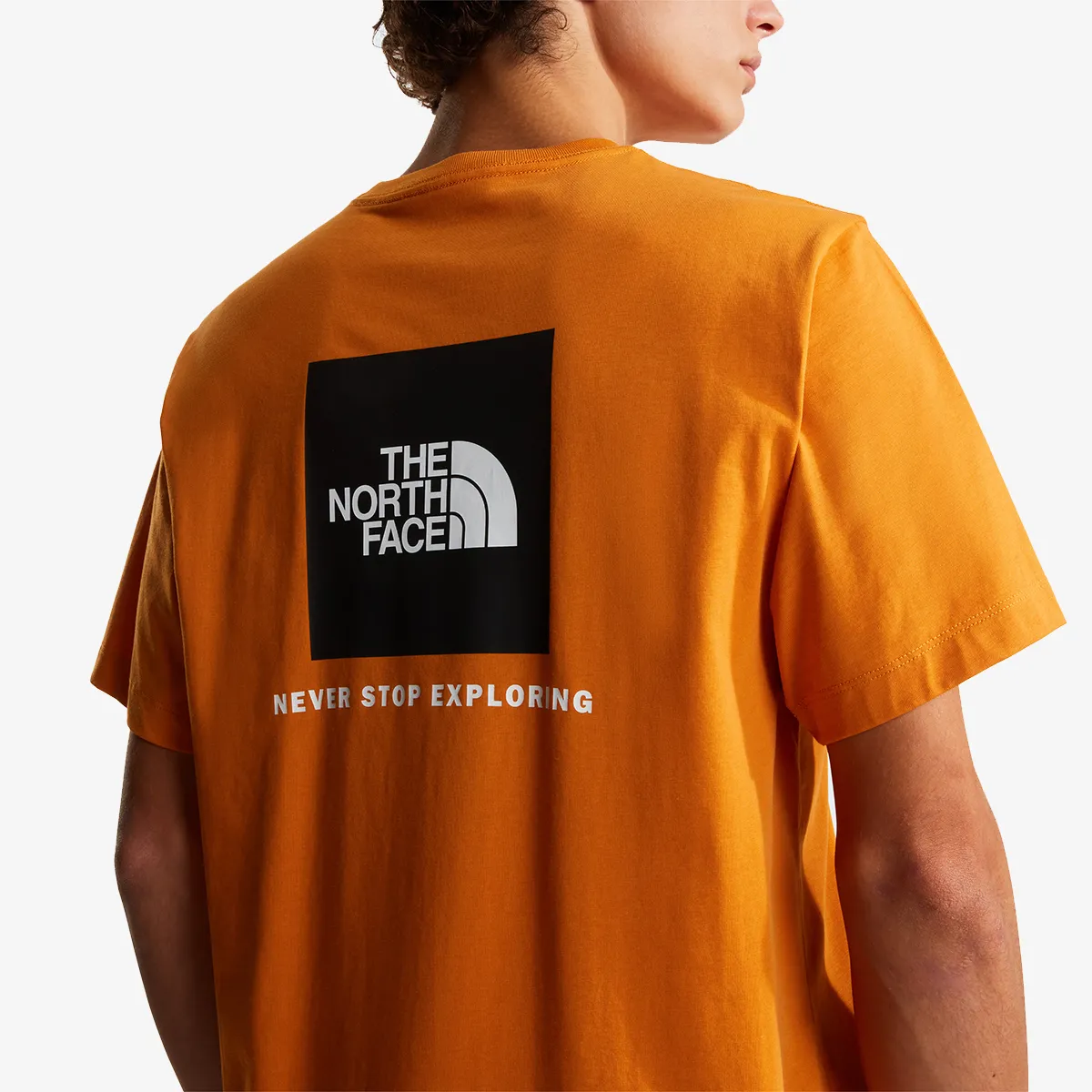 THE NORTH FACE Tricou M EVOLUTION BOX NSE REGULAR SHORT SLEEVE