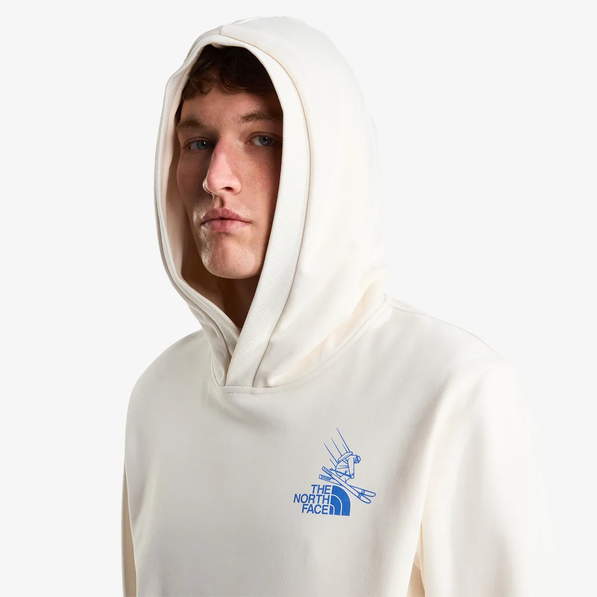 THE NORTH FACE Hanorac U MOUNTAIN CELEBRATION RELAXED HOODIE-GR 