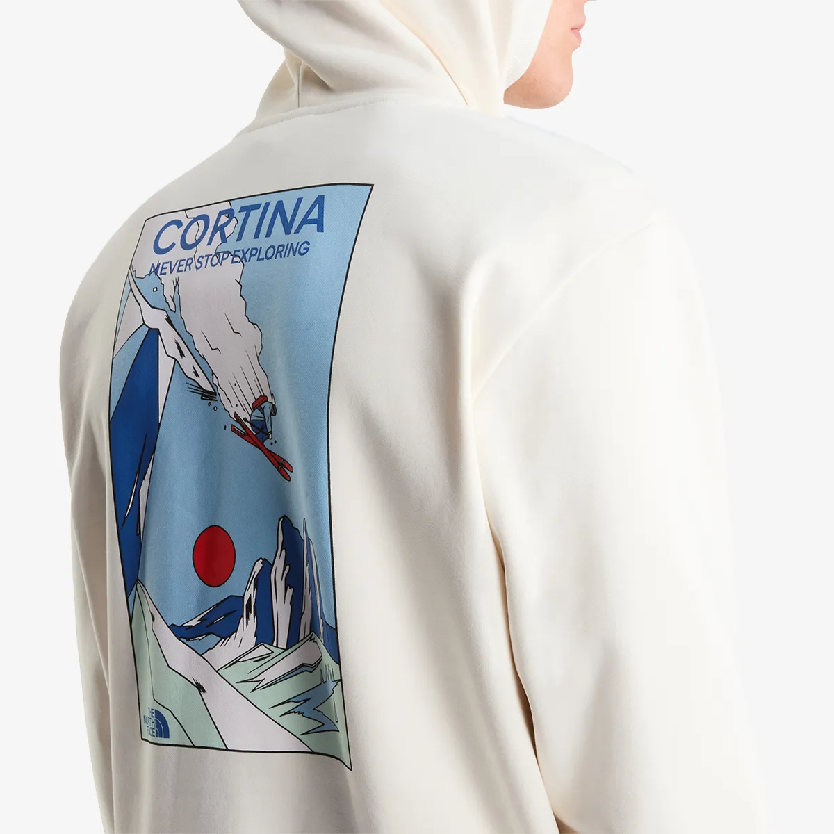 THE NORTH FACE Hanorac U MOUNTAIN CELEBRATION RELAXED HOODIE-GR 