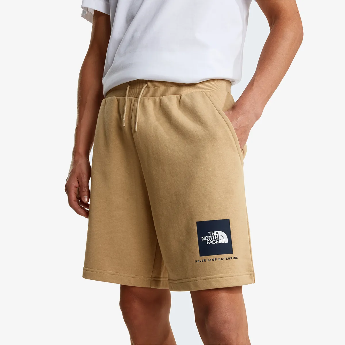 THE NORTH FACE Pantaloni scurti BOX NSE LIGHT REGULAR SHORTS 