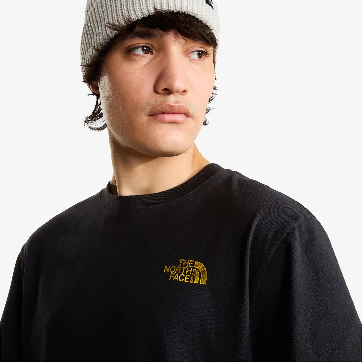 THE NORTH FACE Tricou M PITCH A TENT RELAXED SS TEE 