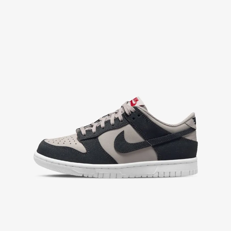 NIKE Pantofi Sport NIKE DUNK LOW HF BG 
